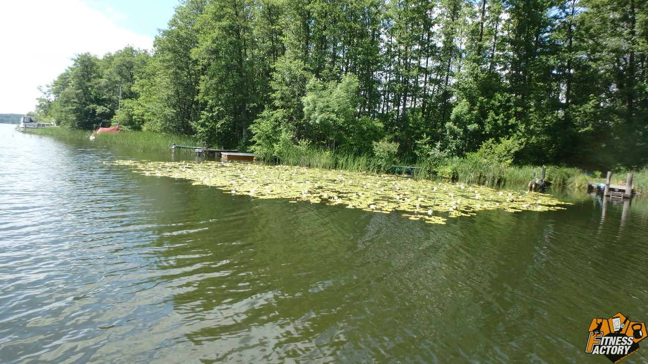 Stand Up Paddling DreiSeenTour (Mecklenburgische Seenplatte